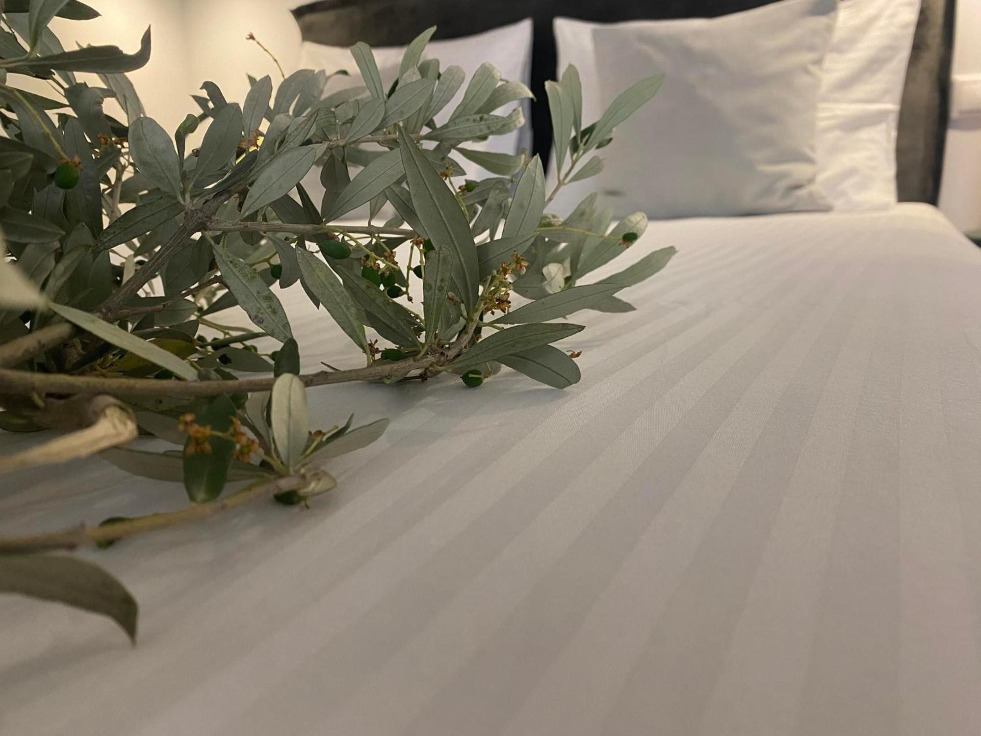 Oniropetra Luxury Suites Armakha Екстериор снимка